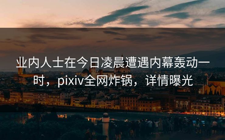 业内人士在今日凌晨遭遇内幕轰动一时，pixiv全网炸锅，详情曝光