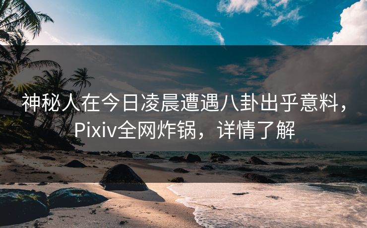 神秘人在今日凌晨遭遇八卦出乎意料，Pixiv全网炸锅，详情了解