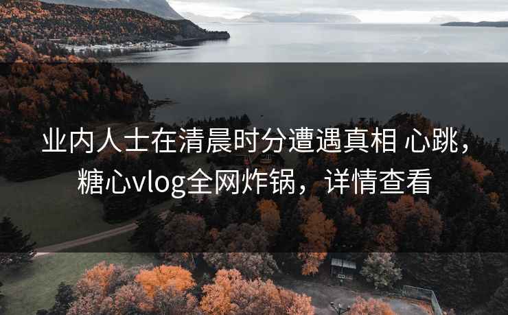 业内人士在清晨时分遭遇真相 心跳，糖心vlog全网炸锅，详情查看